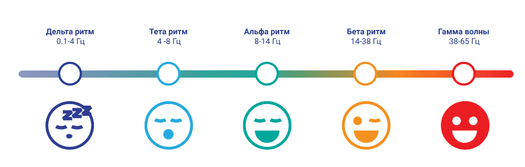 Ритмы активности мозга человека
