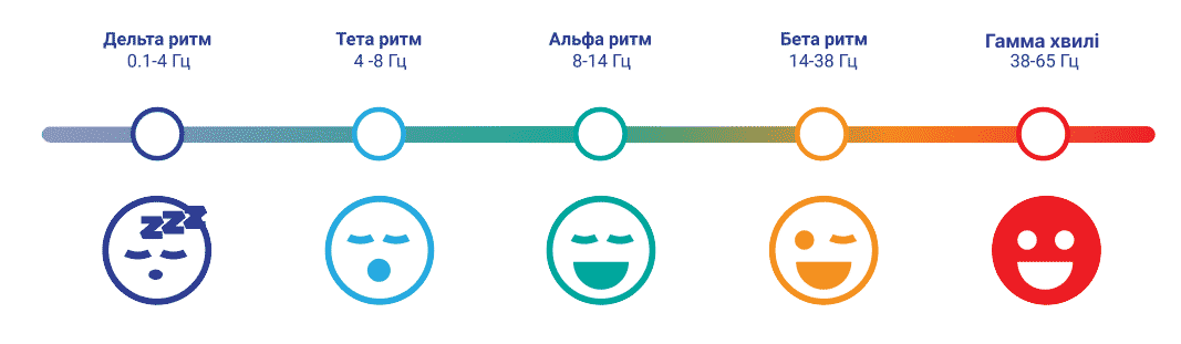 Ритми мозку та їх особливості