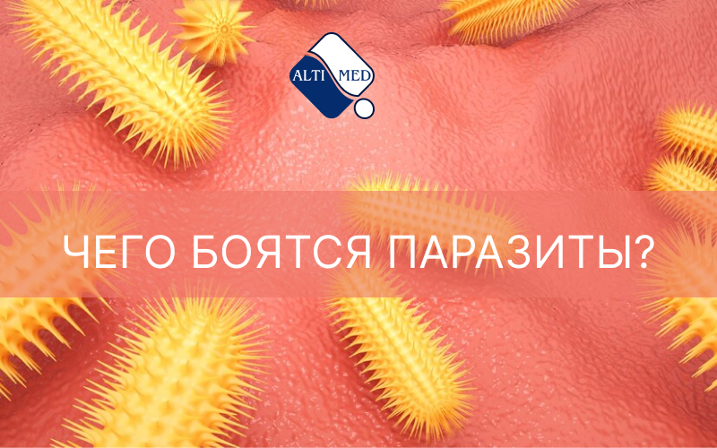 Чего боятся паразиты?