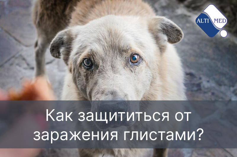 Как защититься от заражения глистами?