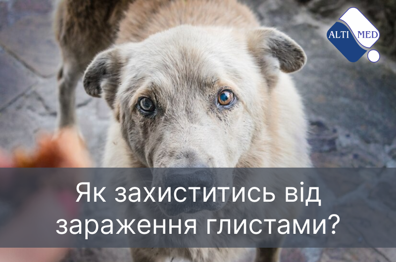 Як захиститись від зараження глистами?