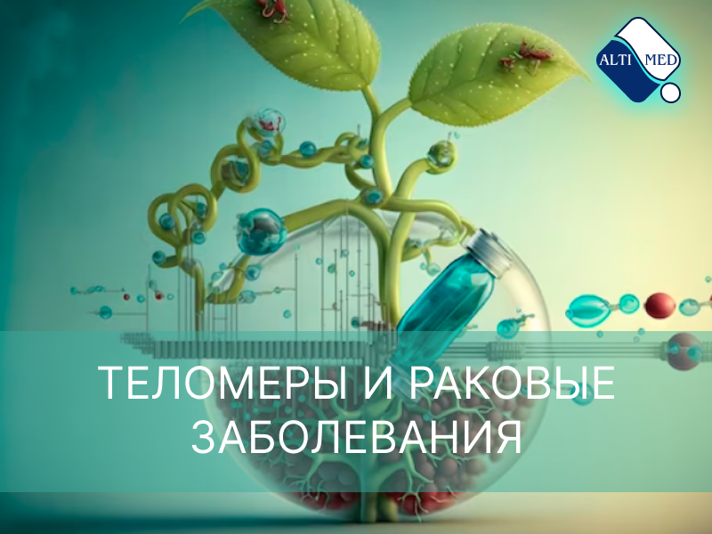 Теломеры и раковые заболевания