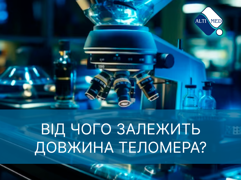 Від чого залежить довжина теломера?