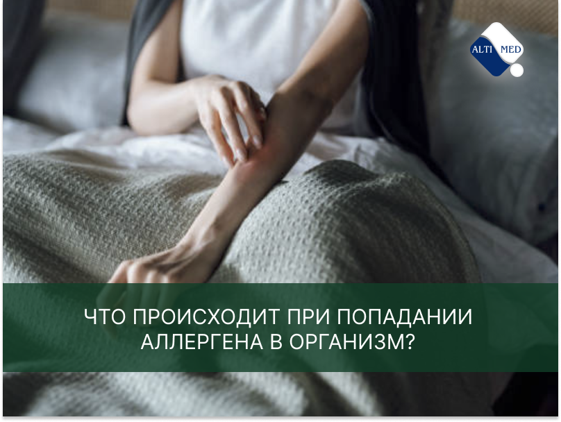 Что происходит при попадании аллергена в организм